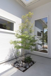 ピクチャーウィンドウのある平屋  画像