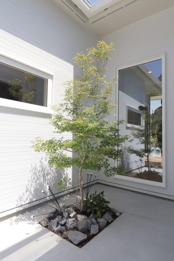 ピクチャーウィンドウのある平屋  画像